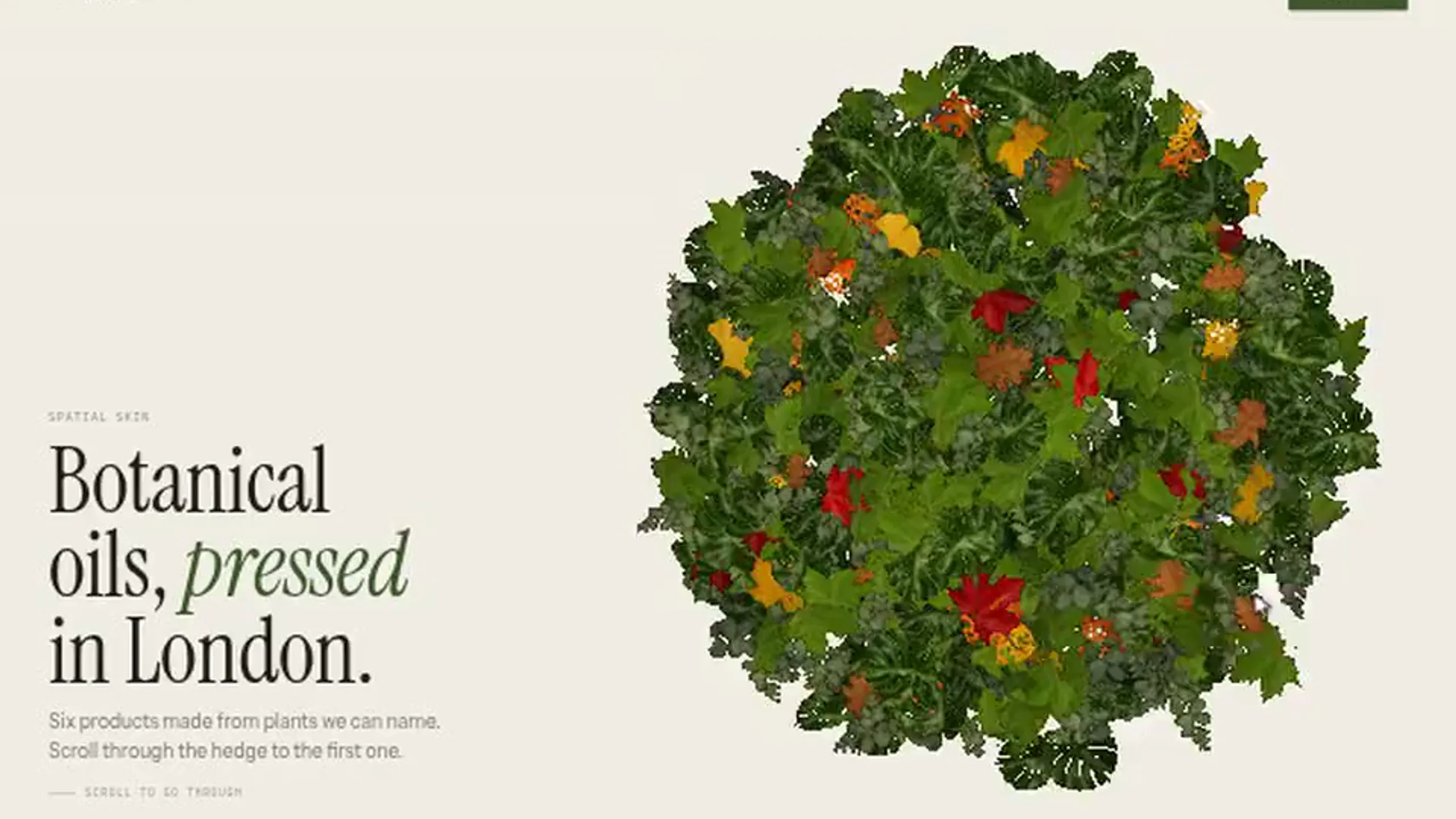 Canopy: botanical skincare website template