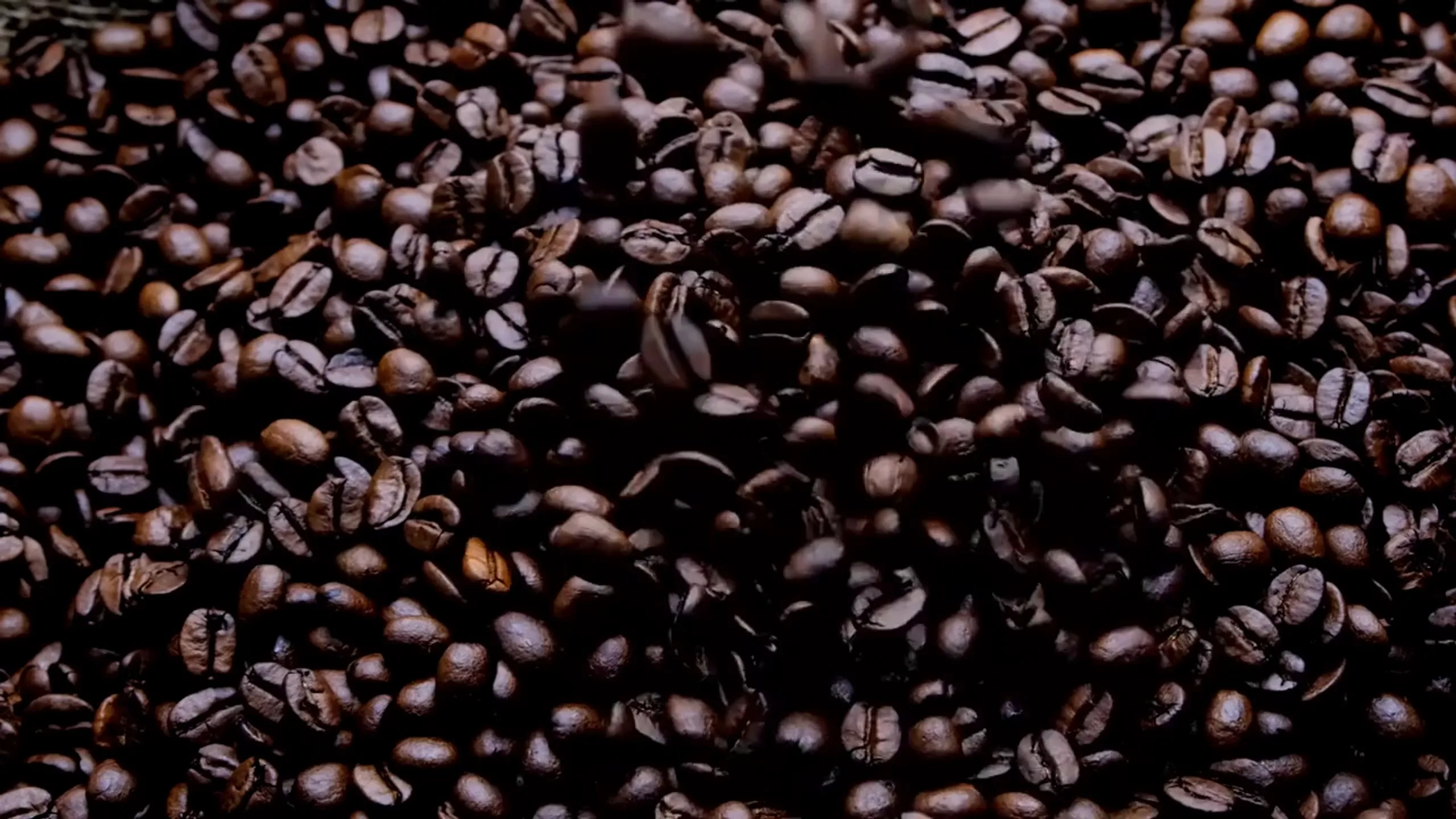 Drumhouse Coffee website kit