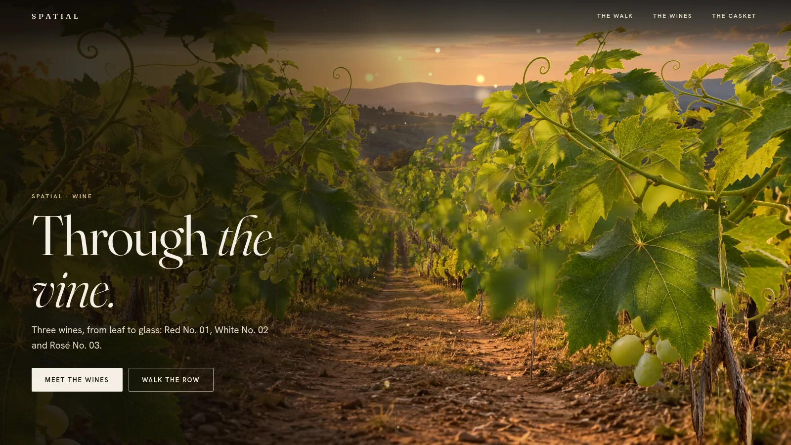 Spatial Wine: winery website template